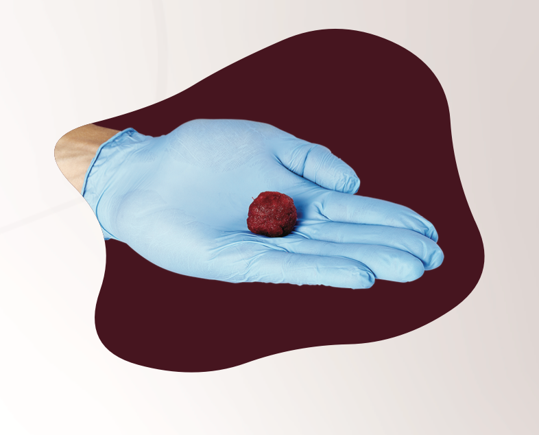 Gloved hand holding a compressed VelvetDBF mass after rehydration